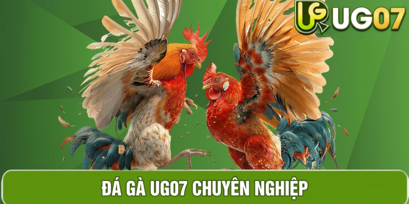 Hình ảnh sản phẩm đá gà