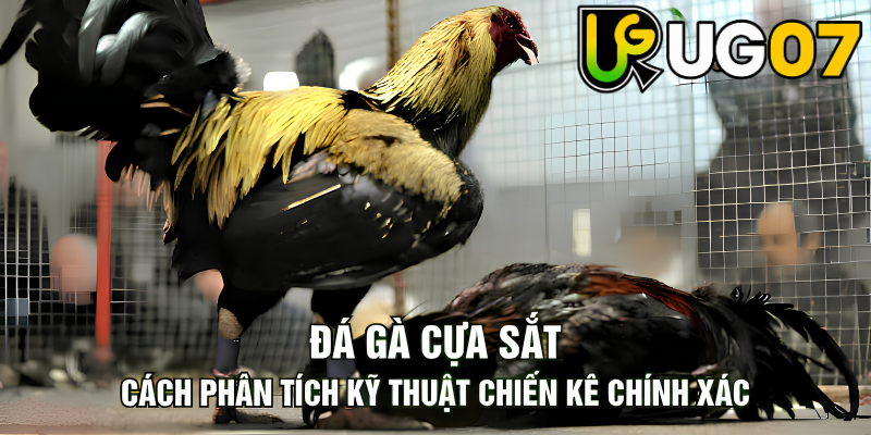 Tin tức