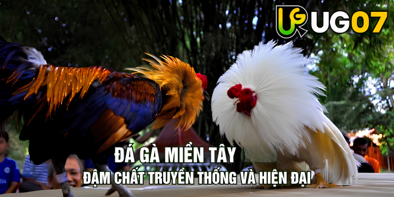 Tin tức
