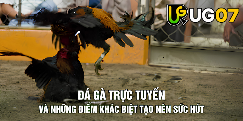 Tin tức