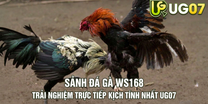 Tin tức